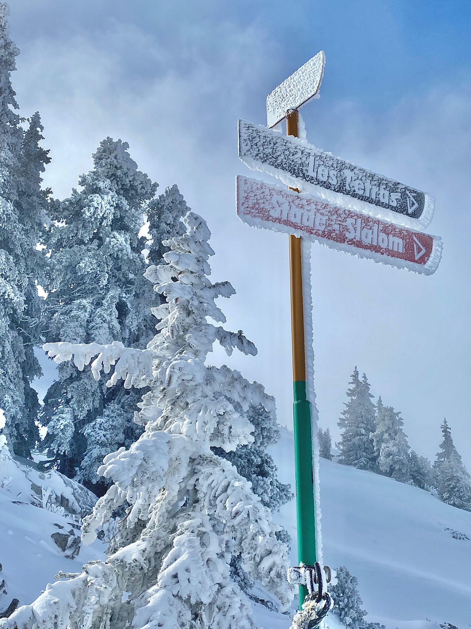 Ski alpin Montagnes de Lans